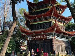 -稻香村(文殊院旗舰店)