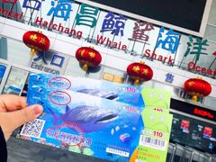 -烟台海昌鲸鲨海洋公园
