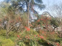 -成都武侯祠博物馆