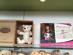 -济州岛泰迪熊博物馆