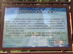 -北京鹫峰国家森林公园