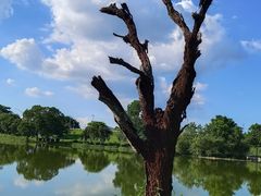 -鹤之洲湿地公园