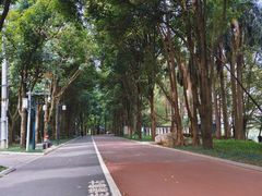 -南宁南湖公园