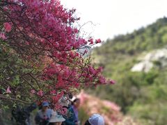 -木兰云雾山