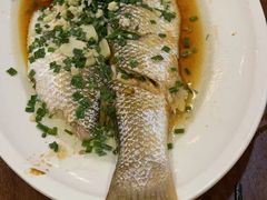 -盐官日光域房车营地·有盐餐厅