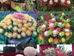 -华南国家植物园-售票处