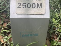 -雨花胜境