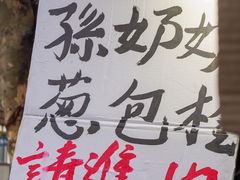 -孙奶奶葱包桧