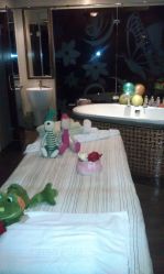 -法国安杰玛SPA会所