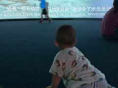 -中国湿地博物馆