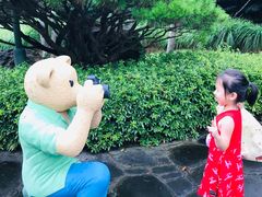 -济州岛泰迪熊博物馆