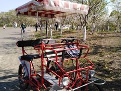 -上海海湾国家森林公园