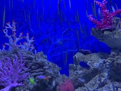 -成都浩海立方海洋公园