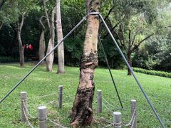 -深圳国际园林花卉博览园