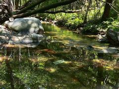 -玉渡山自然风景区