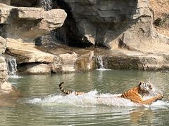 -宁波野生动物园