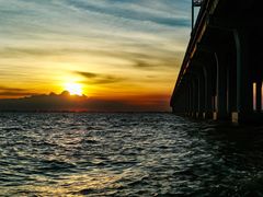 -宝安西湾红树林湿地公园