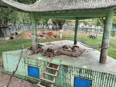 -秦皇岛野生动物园