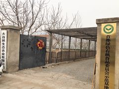 -大自然农场蔬菜草莓采摘园