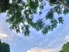 -东莞植物园