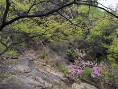 -云峰山自然风景区