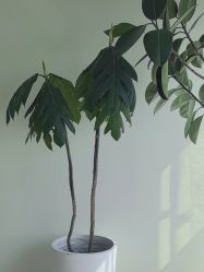 点击看大图 -HEYAN荷妍专业脱毛连锁机构