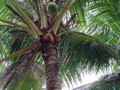 -白沙门生态公园