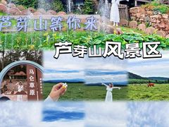 -芦芽山旅游度假区