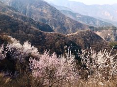 -阳台山自然风景区