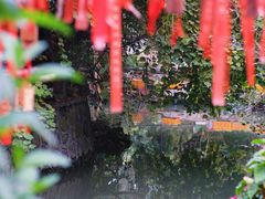 -小洲村