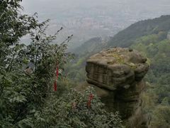 -缙云山景区