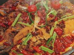 -老板恋上鱼(恒隆广场店)