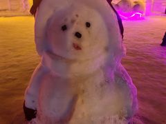 -长春市南湖公园