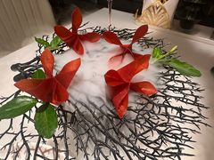 -迦南苑·新派青岛菜·生日纪念日主题餐厅
