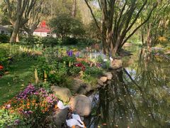 -上海共青森林公园