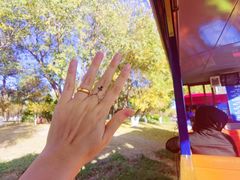 -永定河休闲森林公园