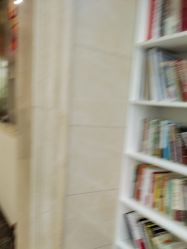 -碧莲盛·不剃发植发