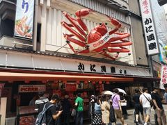 -蟹道乐(道顿堀本店)