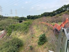 -小南山公园