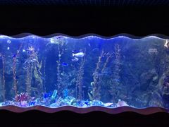 -太平洋海底世界