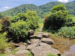 -中国茶叶博物馆(双峰馆区)