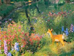 -上海共青森林公园