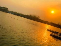 -大兴滨河森林公园