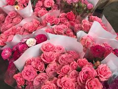 -秦美花卉(天朗·莱茵小城2期店)