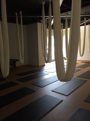 -LU YOGA（露瑜伽）专业瑜伽馆
