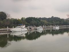 -长洲岛