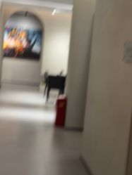 -大树儿童摄影