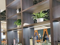 -刘胖子家常菜·蹄花焖藕(富安街店)