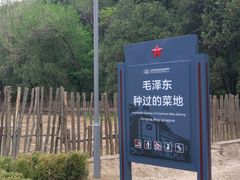 -延安杨家岭革命旧址