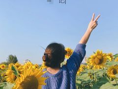 -映月湖中央公园